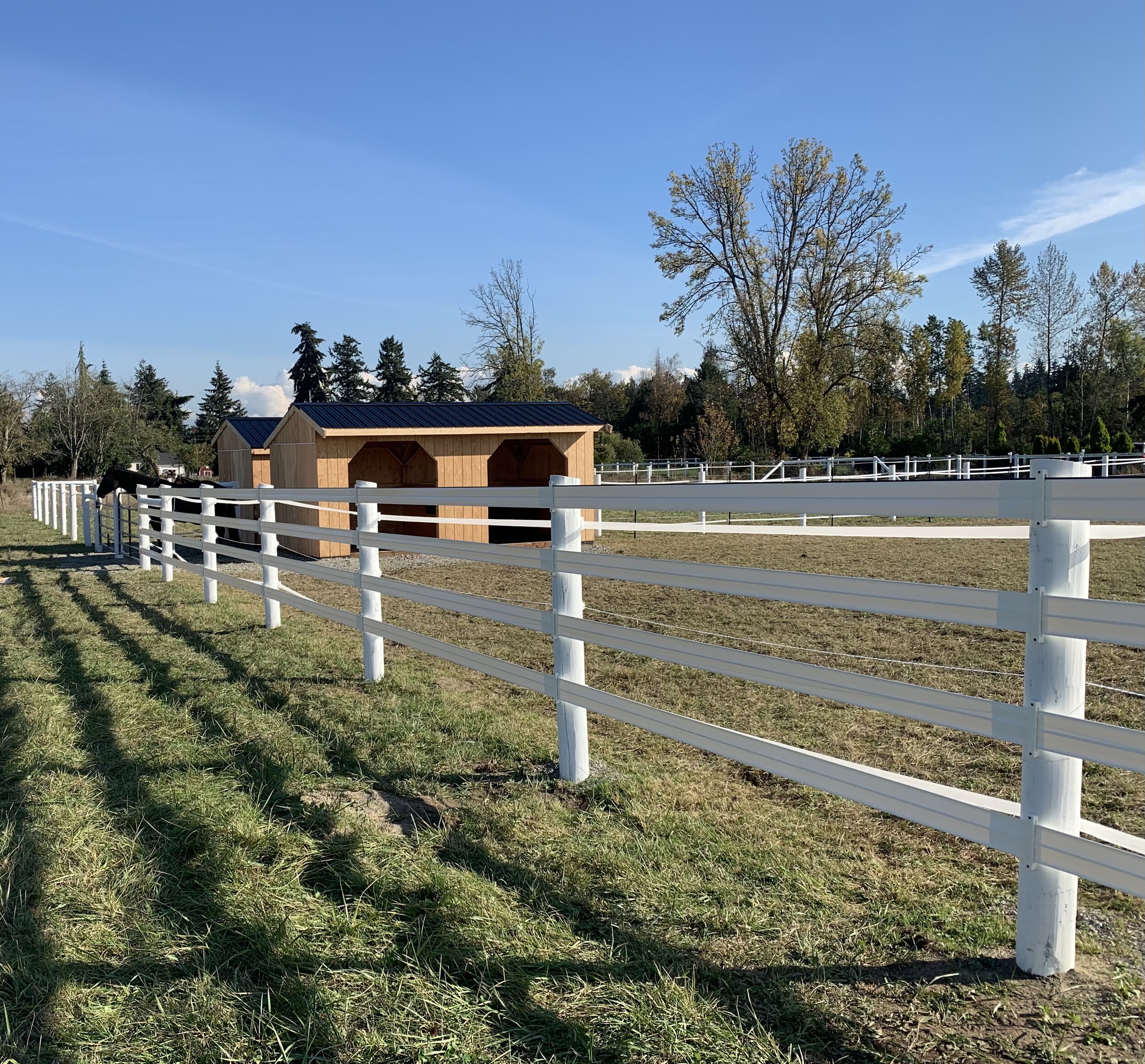 Horse Fencing