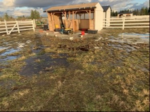 mud proof paddock