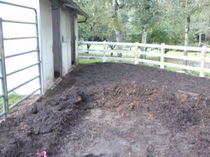 mud proof paddock 9